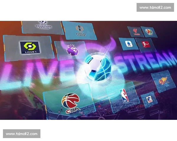 多平台体育赛事直播在线观看,畅享全球精彩比赛不容错过